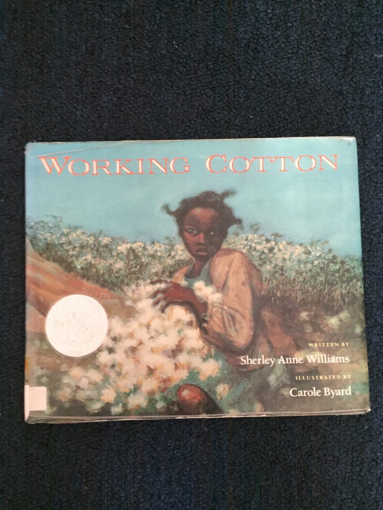 Working Cotton | Literature Review Blog, May 17