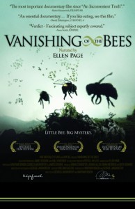 vanishing bees